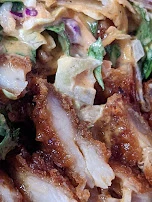 Crispy Chicken Burrito